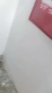 双飞骚熟